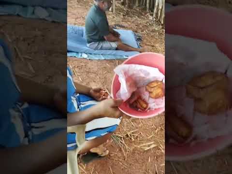 comendo peixe frito (planaltina Paraná)
