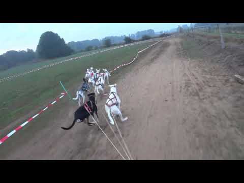 GTH Waterloo Ströhen 2018