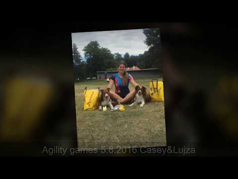 Agility games 5.8.2017 /Luisa&Casey