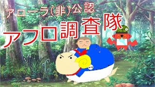 【ポケットモンスタームーン】【ゆっくり実況プレイ】アルとフォーの島めぐり旅Prat11