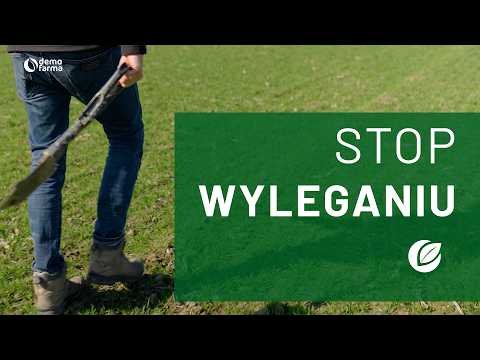 Film na temat: { video.title }}