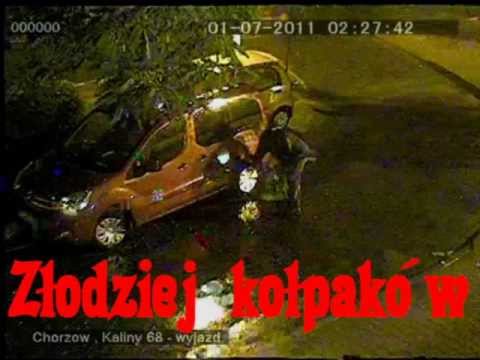 Wyrwać chwasta to za mało