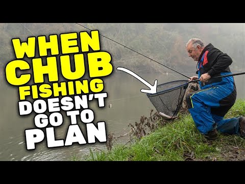Chub fishing with bread in winter