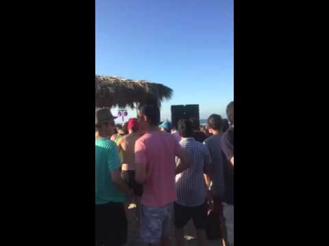 Feathered Sun - Trópico 2015