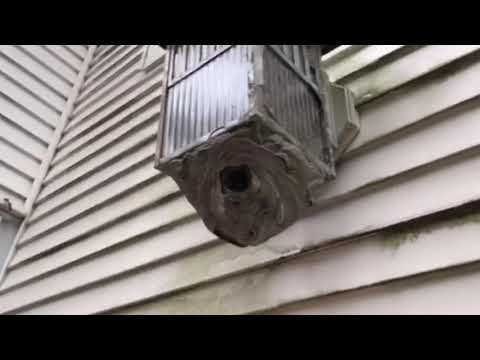 Wasp Nest Block the Light in Eatontown, NJ