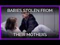 Babies STOLEN From Mothers PETA S WorldVeganMonth Video