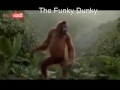 Funky Dunky