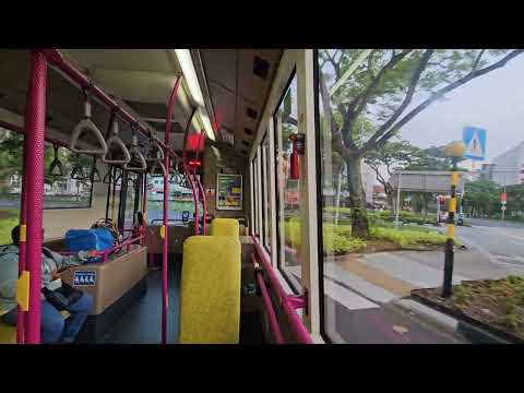 SBST Scania K230UB Euro IV Batch 2 (SBS8431M) on 45 (Fengshan Pri Sch - Townsville Pri Sch)