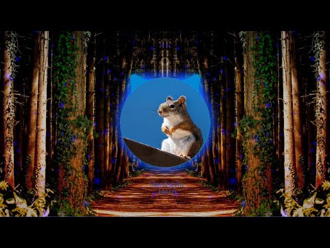 Red Hot Chili Peppers   Otherside Twisted Melodiez Hardstyle Bootleg Original Mix