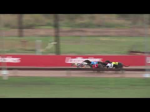 Darwin-11112018-race-2