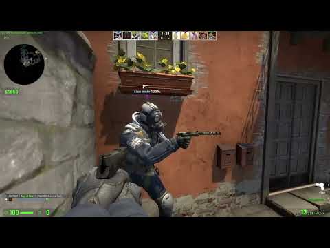 The cutest moment in CS:GO history