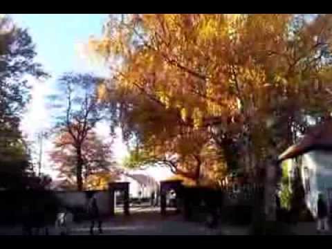 Auf dem Waldfriedhof in Rüsselsheim