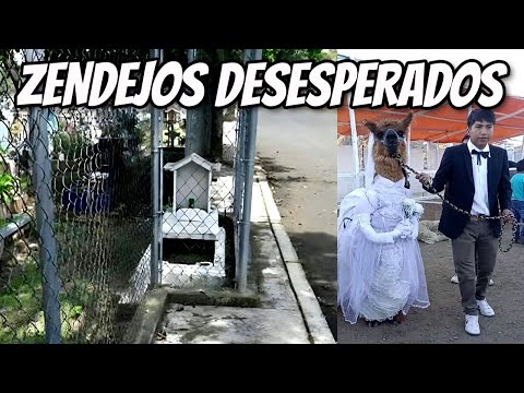 Zendejos Desesperados