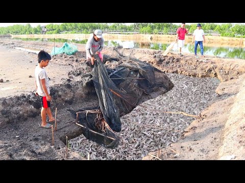 , title : 'MILKFISH FARMING- How to become successful in Milkfish farming business'