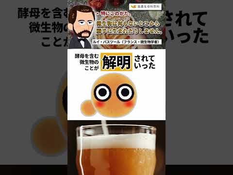 【食農生命科学科】酵母って何でしょう？（食品微生物学研究室）