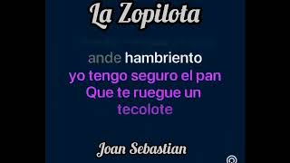 La Zopilota Karaoke HD 