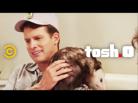 Opossum Lady - CeWEBrity Profile - Tosh.0
