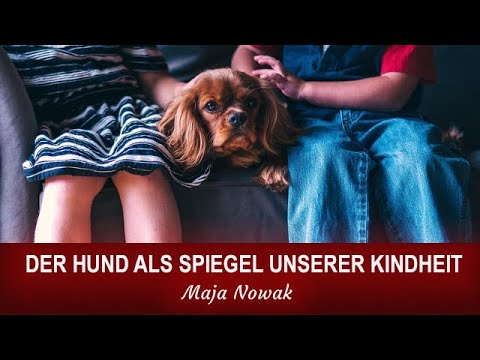 "Der Hund als Spiegel unserer Kindheit" -  live in der Künkelinhalle mit Maja Nowak