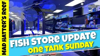 Fish Store Update | One Take Sunday