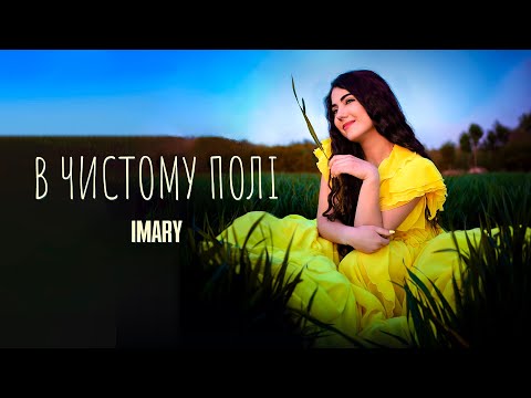 IMARY  - В ЧИСТОМУ ПОЛІ (ПРЕМ'ЄРА 2024)