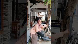 Download lagu Funny video * Jok Motor ko Buka terus c🤔 Hhe🤣🤣 Subscribe Ya #shortvideo #comedy #funny #lucu #ngakak mp3
