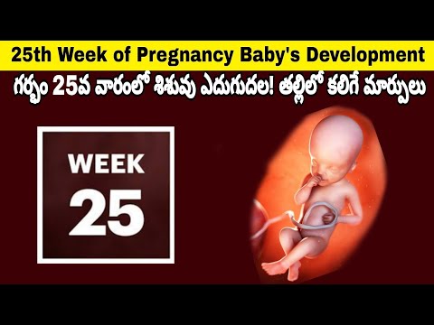 25th Week of Pregnancy Symptoms, Changes & Baby Development | 25th Week of Pregnancy in telugu