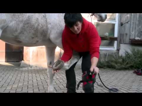 Equine Fusion Hoof Boots