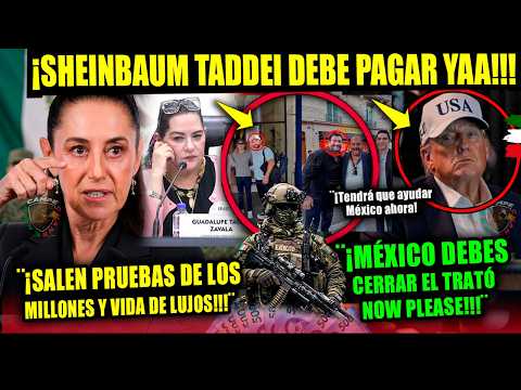 SHEINBAUM ¡Van por TADDEI acaban de SALIR PRUEBAS nuevas! TRUMP harfuch Campechaneando Noticia HOY