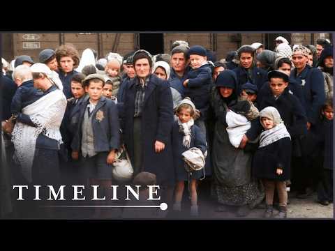Auschwitz Survivors Recount Arriving At Europe's Biggest Death Camp