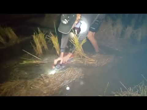 pangingilaw NG palaka! CATCH AND COOK/MUKBANG