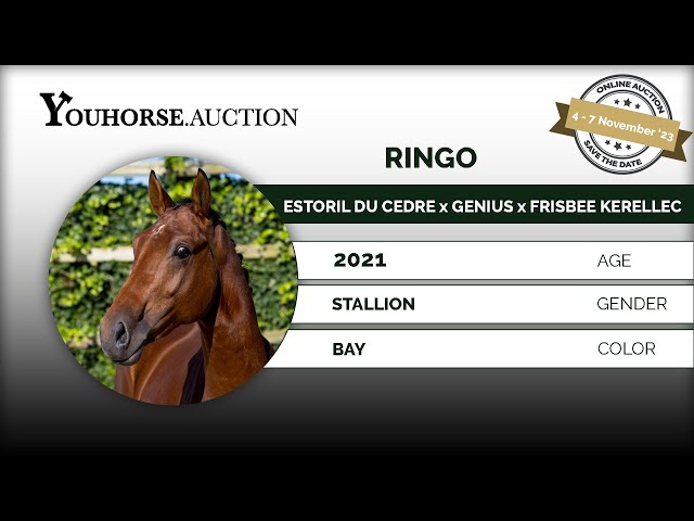 Ringo