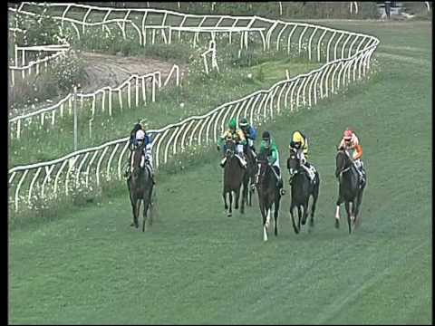 Galoppo 25/07/2015 - 3° corsa