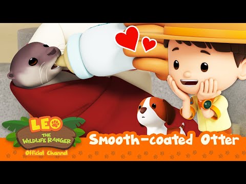 Witness21  2023 06 03