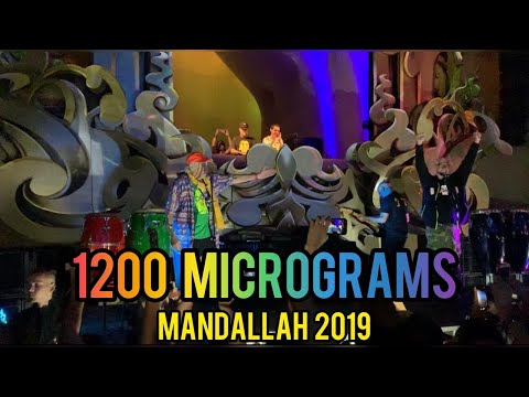 1200 Micrograms @ Mandallah 2019 (intro set)
