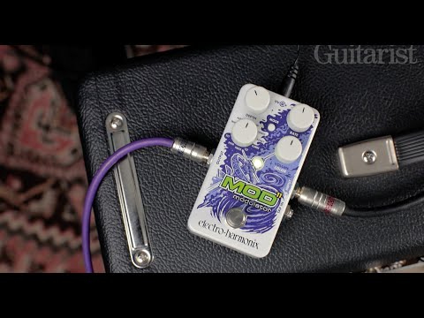 Electro-Harmonix Mod 11 Modulator 2019 - Present - Graphic Bild 3