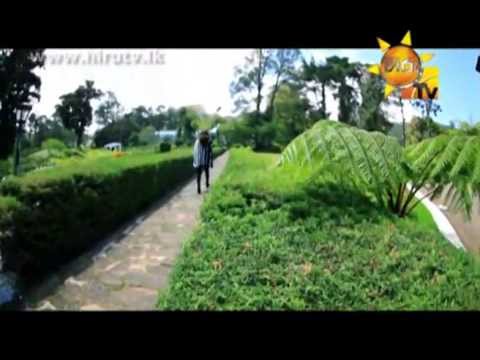 Hiru TV