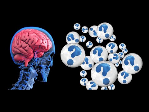 Gedankenexperiment - Das Gehirn in den PC laden