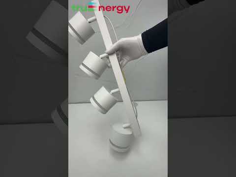Миниатюра изображения товара Спот Truenergy 21393