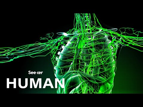 病気になるとリンパ節が膨らむのはなぜ？ (Why Do Lymph Nodes Swell Up When You're Sick?)