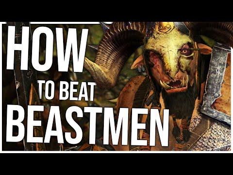 How to Beat the Beastmen | Total War Warhammer 3