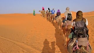 Marrakech Desert trip ,Camel Trekking,Morocco Sahara Desert Over night.Camel Ride.Desert Camel Trip