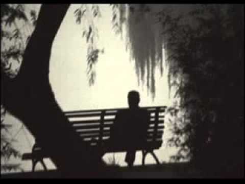 The Last Laugh Of The Laughter - Travis