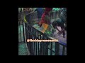 Kid Falls Off Roller Coaster Caught On Camera