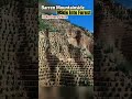 Barren Mountainside Made Into Forest in Northern China #lossplateau #afforestation #fyp