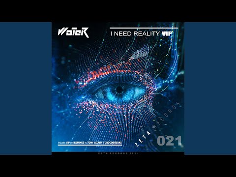 I Need Reality (Droodbreaks Remix)