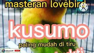 Download lagu Masteran lovebird kusumo 1 jam full //lovebird konslet mp3