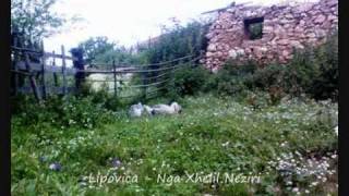 preview picture of video 'Lipovica e Gjilanit'