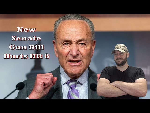 HR 8 takes another hit… New Senate Gun bill introduced!