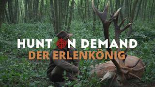 Hirschbrunft in Ungarn 🇭🇺 Der Erlenkönig von @Huntingroom