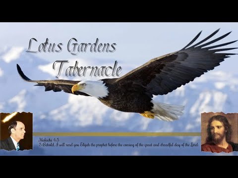 Pastor Vusi Livingstone: From glory to glory